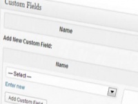 Como Utilizar Custom Fields no WordPress