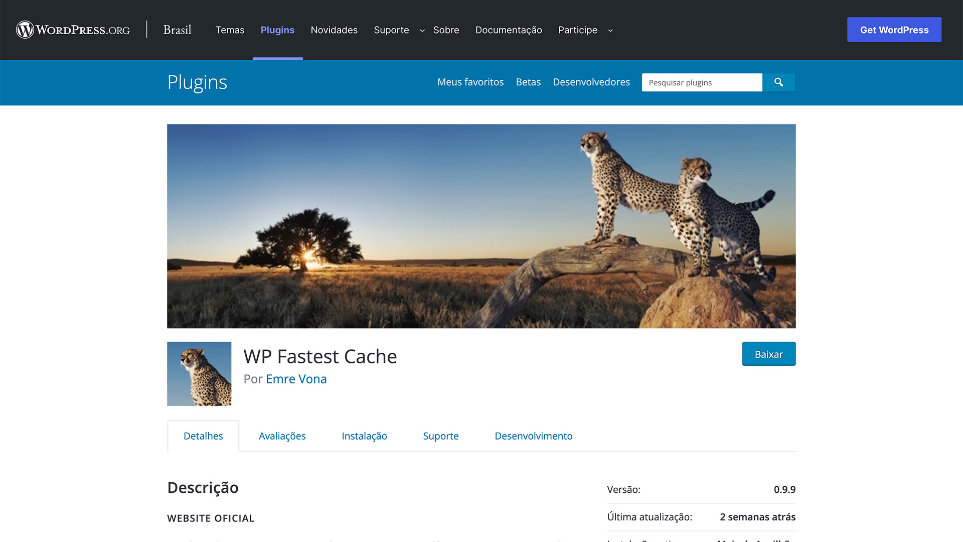 plugin WordPress wp fastest cache