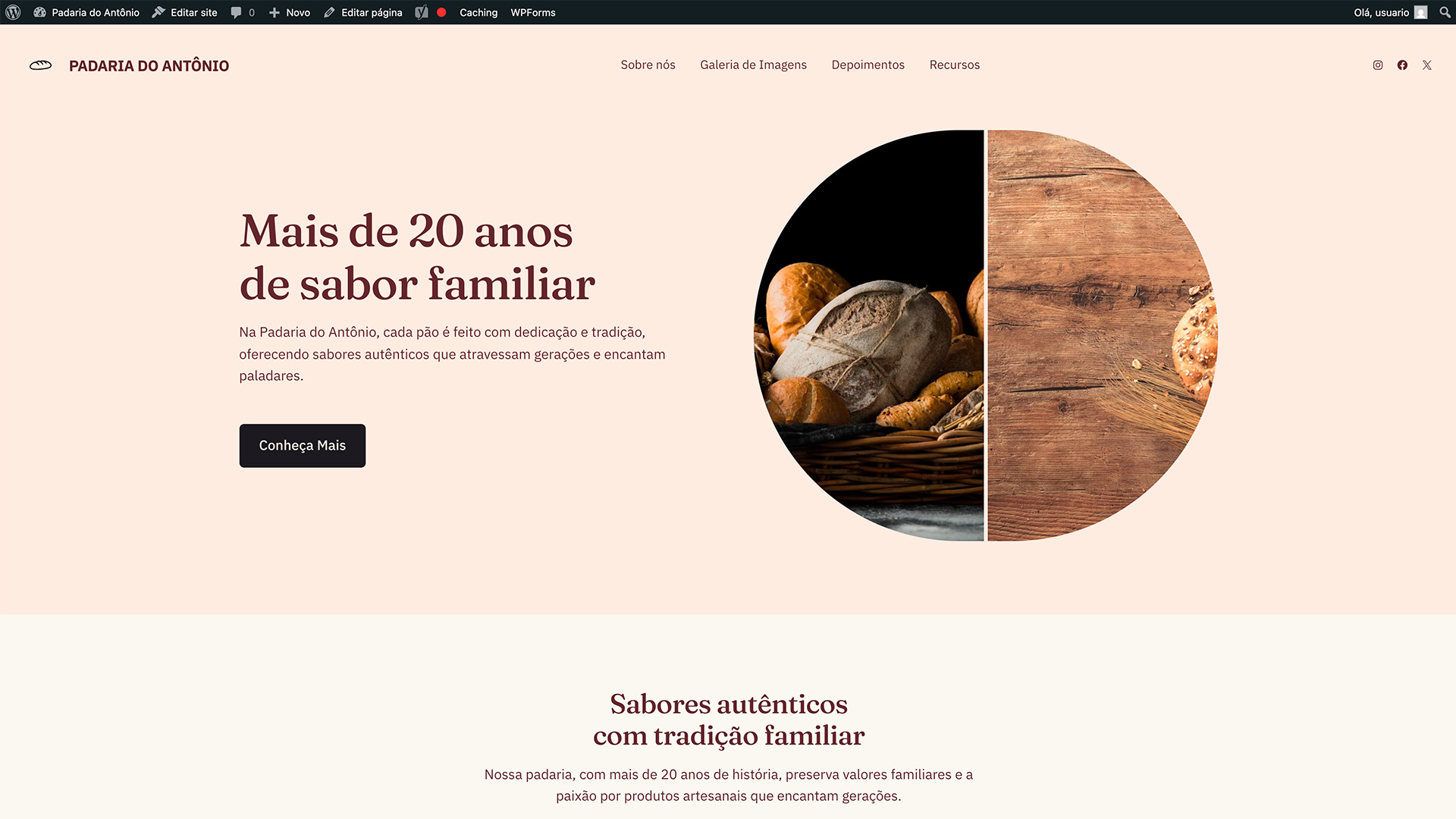 Resultado site criado