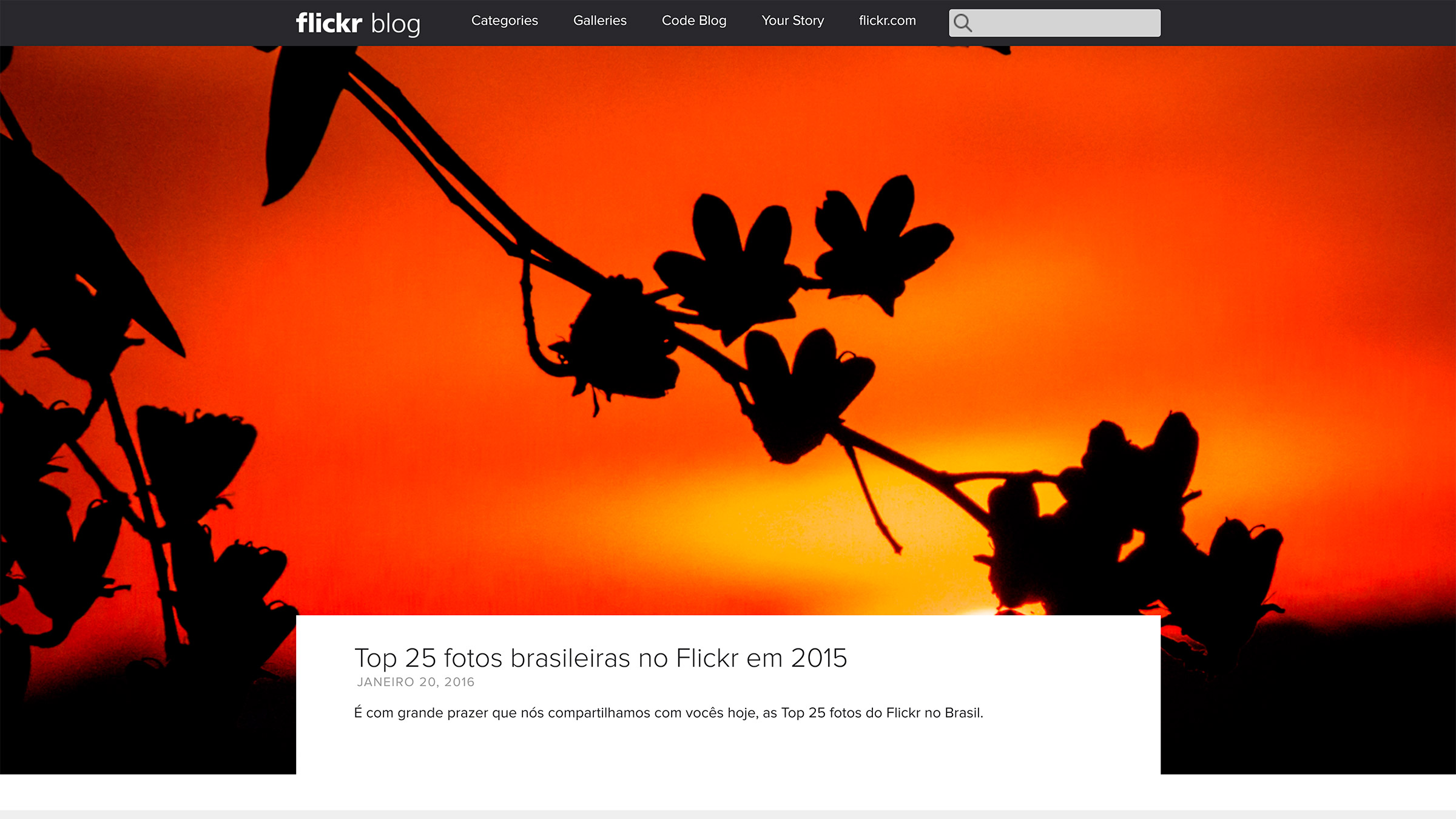 flickr blog site construido com o wordpress